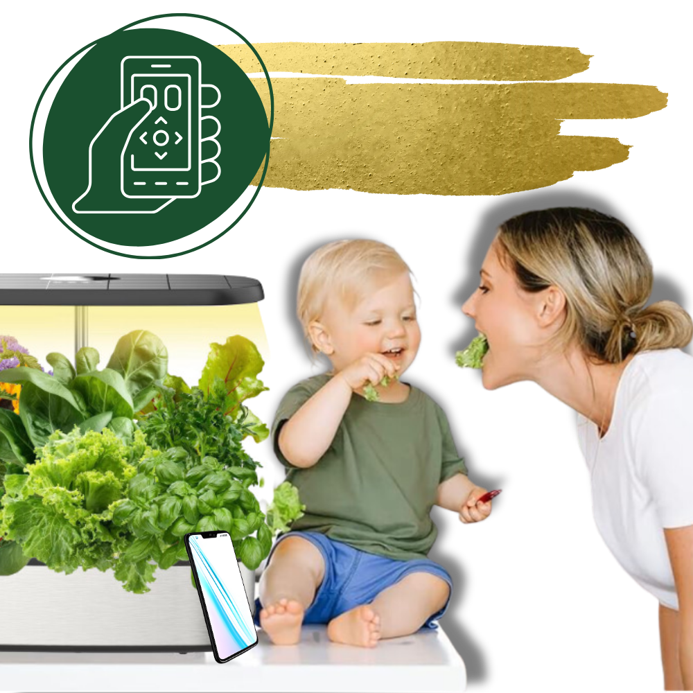 Hydroponisk trädgård för 12 plantor - Ozerty