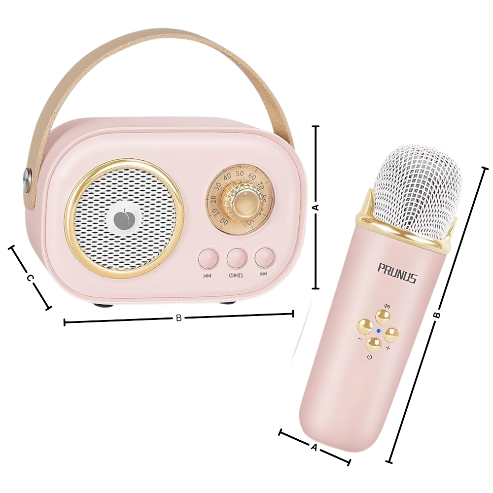 Bluetooth Mini Karaoke med dubbla mikrofoner för barn - Ozerty