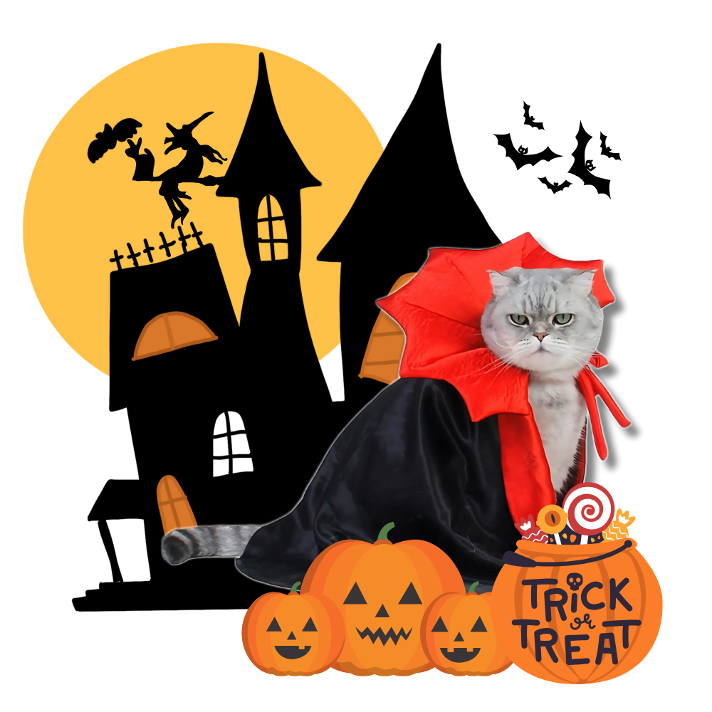 Söt Dracula Halloweendräkt för Husdjur - Ozerty