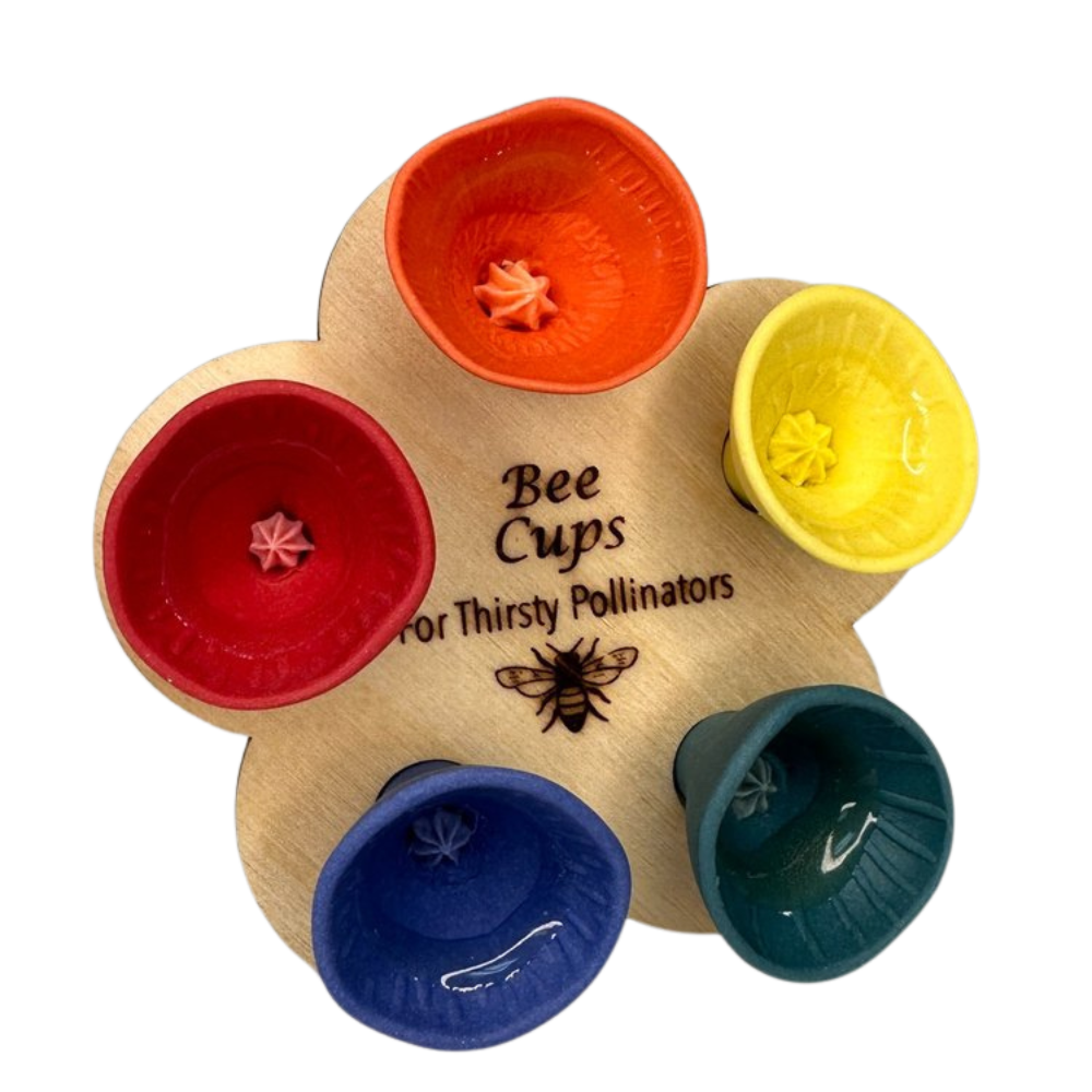 Diskret UV-reaktiv vattenskål för bin -Flerfärgad - Ozerty