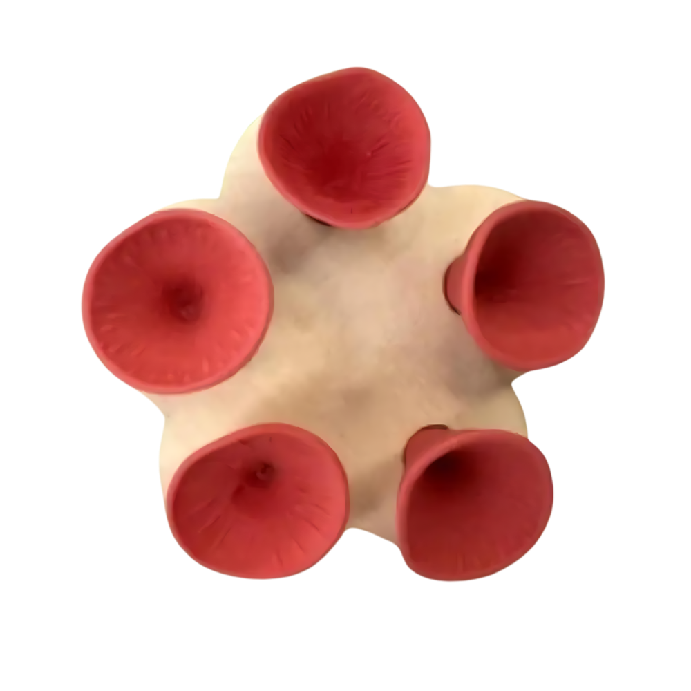 Diskret kopp för bin -Röd - Ozerty