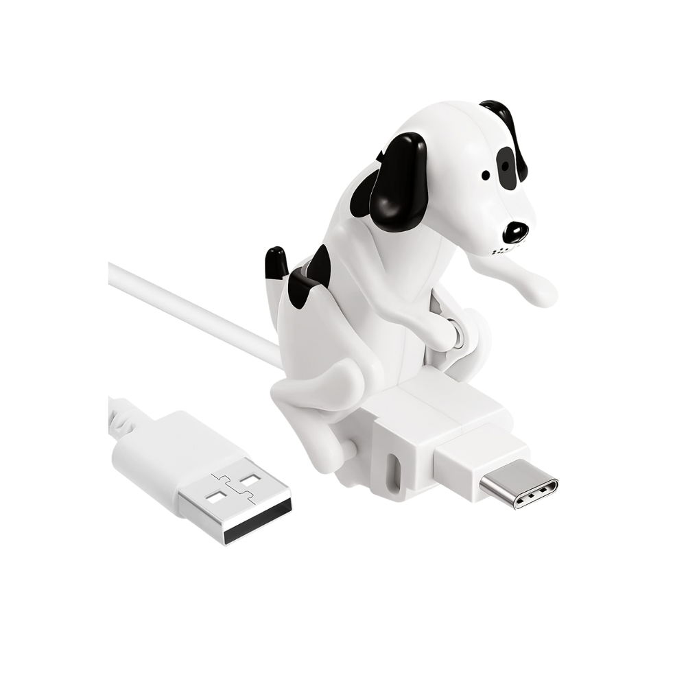 Hund kabel för snabbladdning