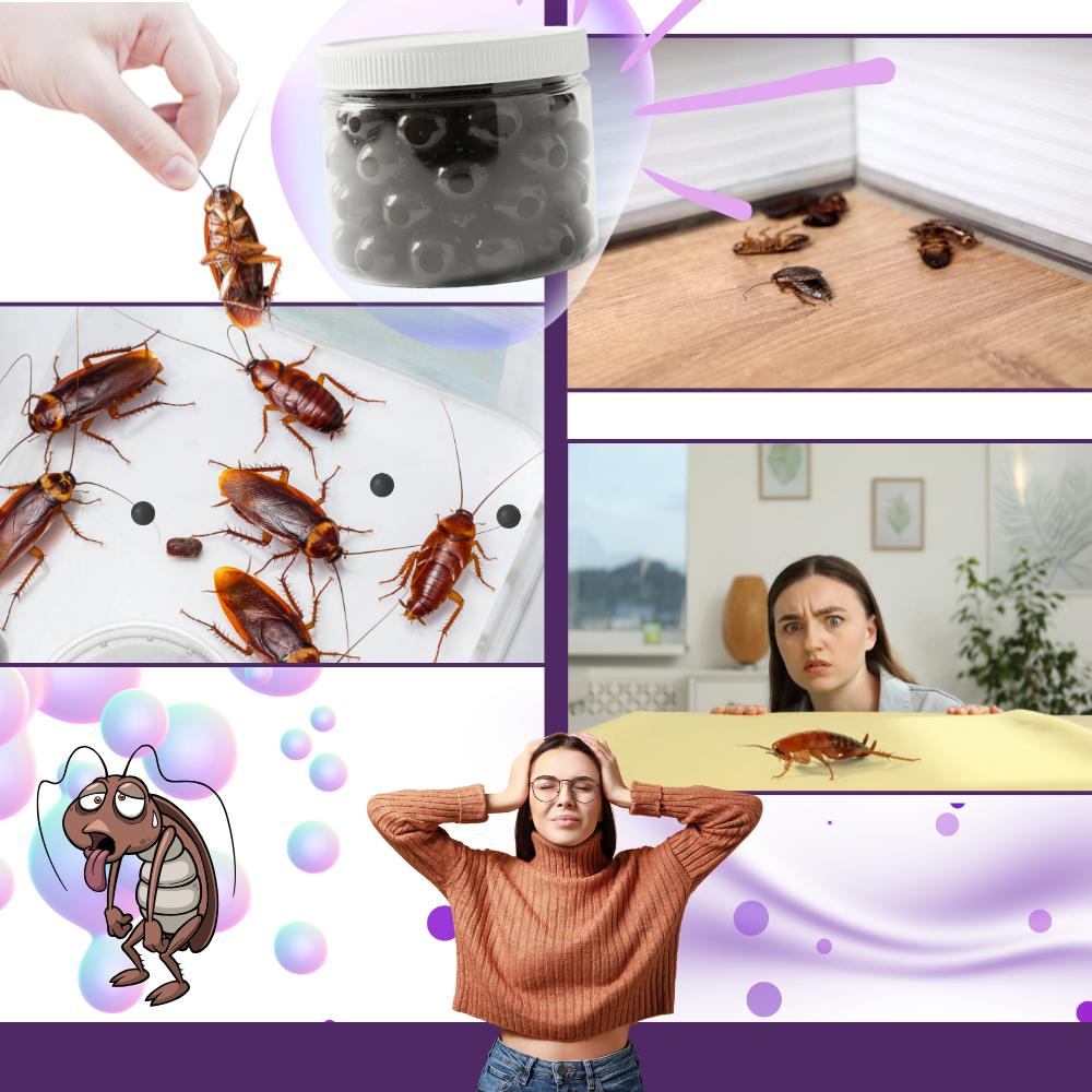 Kackerlaksavstötande Lavendelkulor - Ozerty