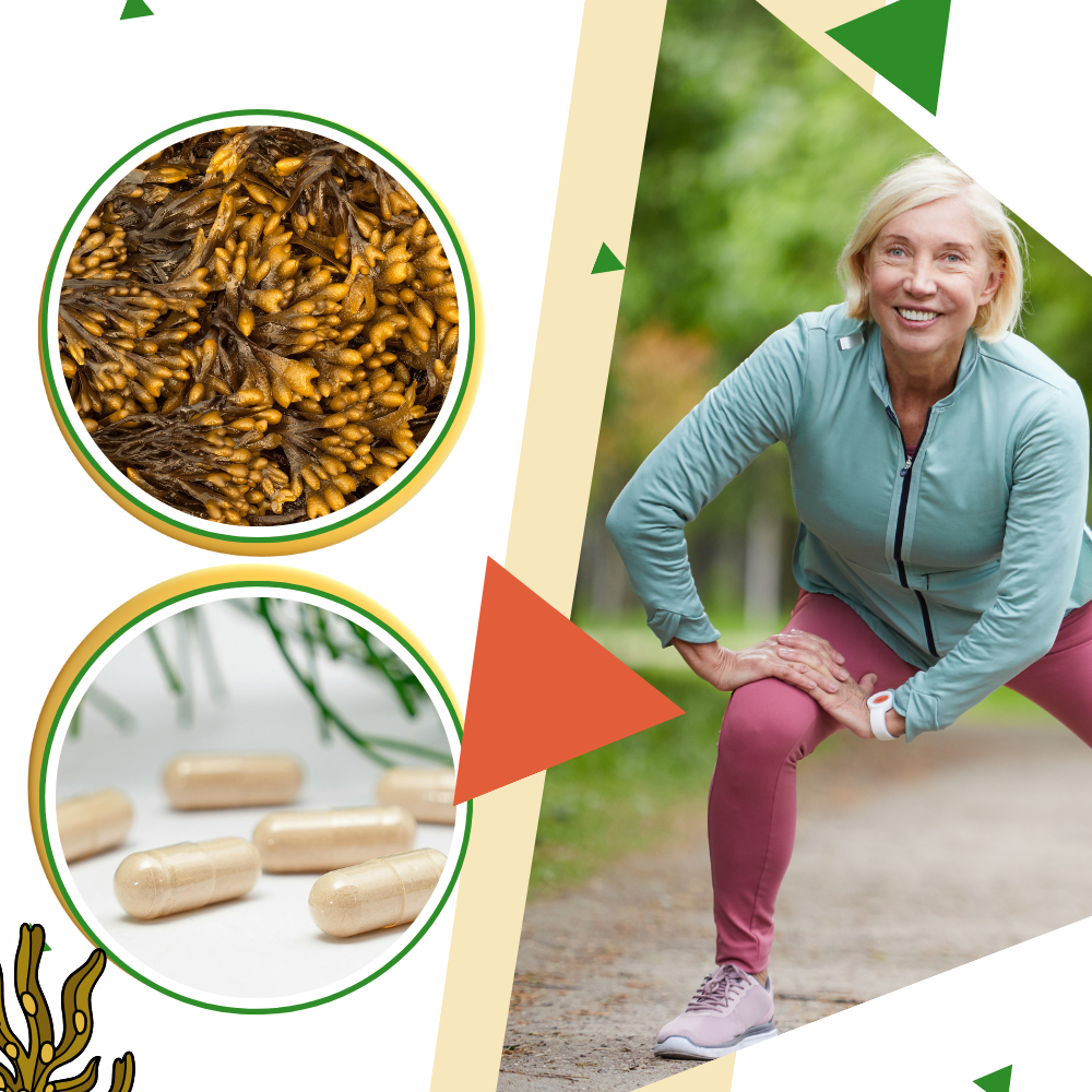 Marina Örter Tillskott  - Ozerty