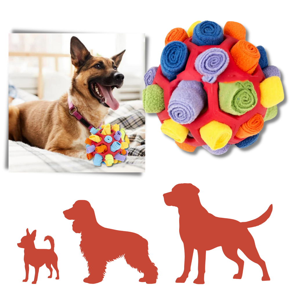 Snuffle ball för mental stimulering - Ozerty