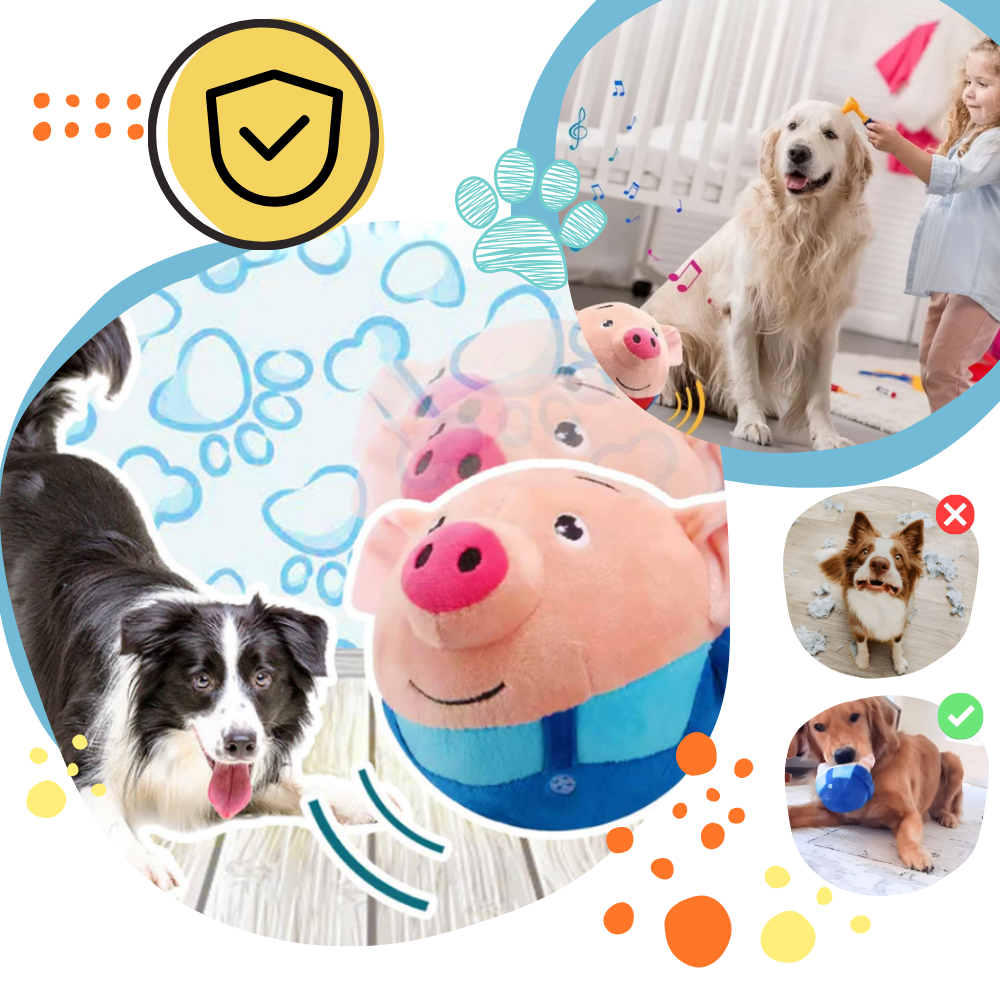 Paw Bounce Sensorleksak - Ozerty