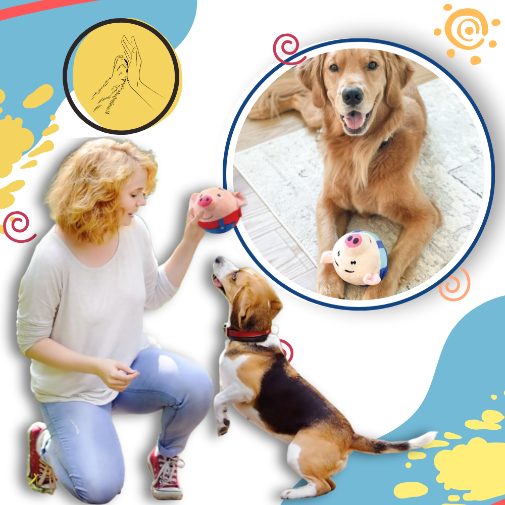 Paw Bounce Sensorleksak - Ozerty