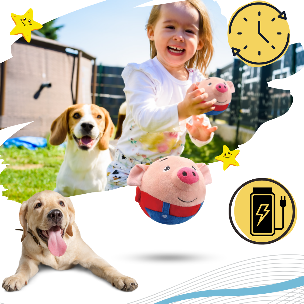 Paw Bounce Sensorleksak - Ozerty