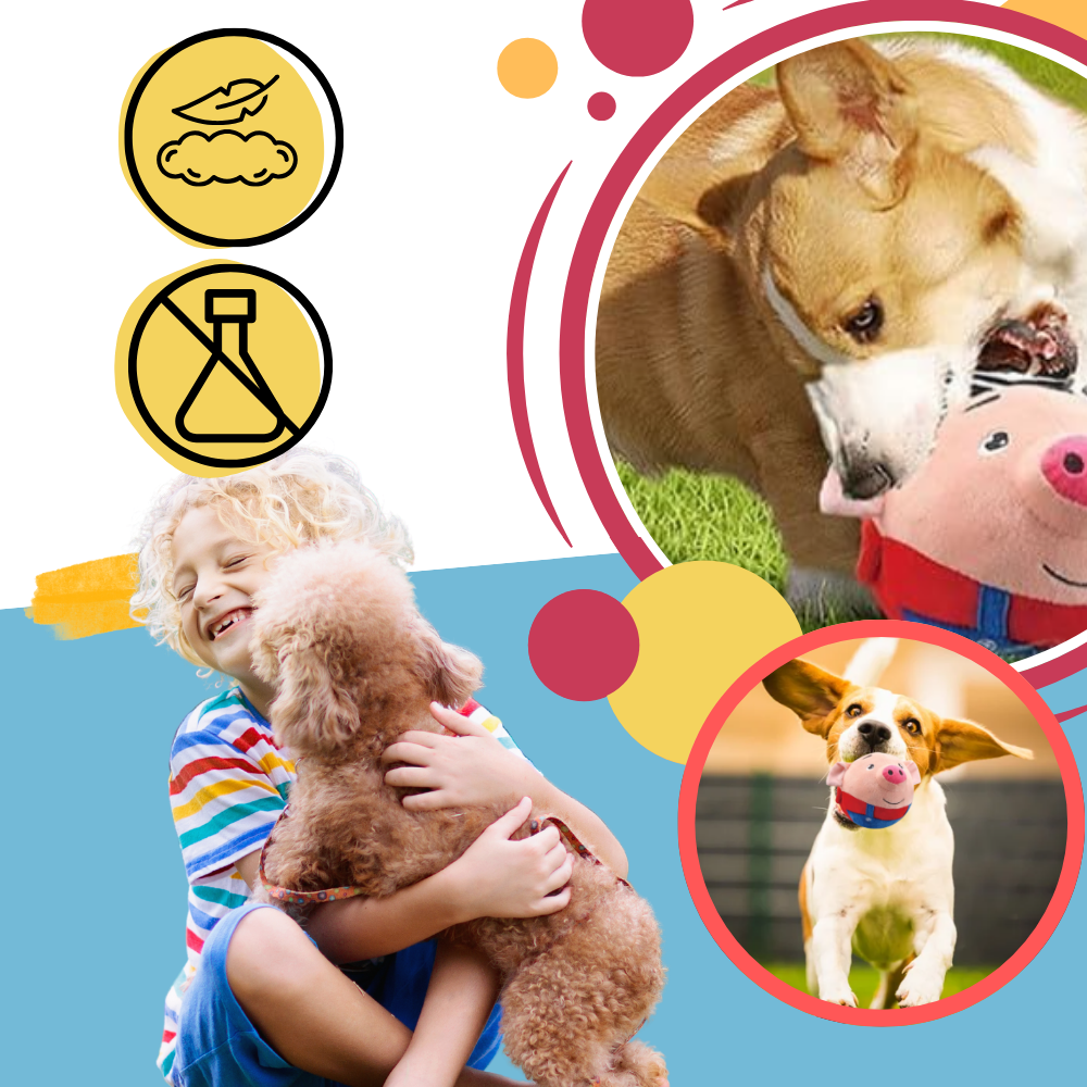 Paw Bounce Sensorleksak - Ozerty