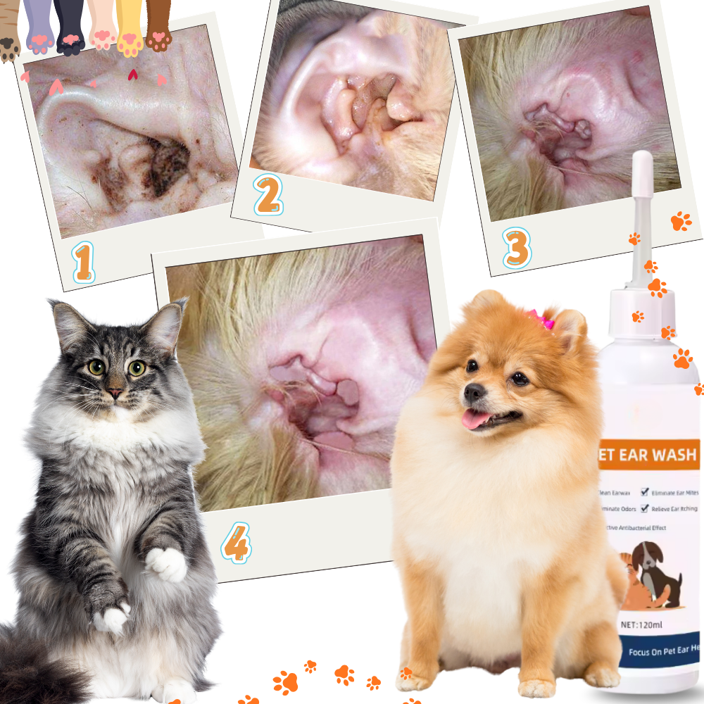 Örondeodorant för husdjur - Ozerty