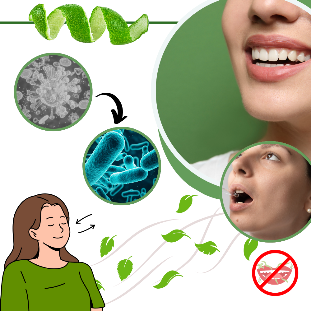 Mint munfräschare - Ozerty