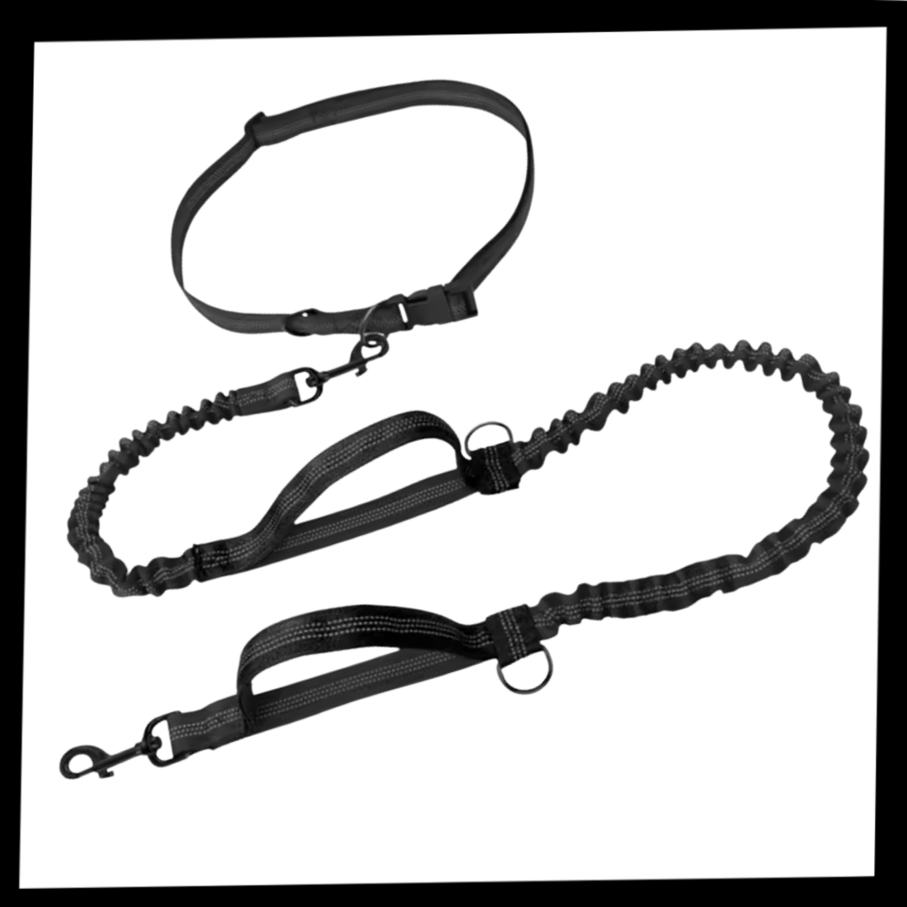 Säkert och ergonomiskt hundkoppel för midjan - Ozerty