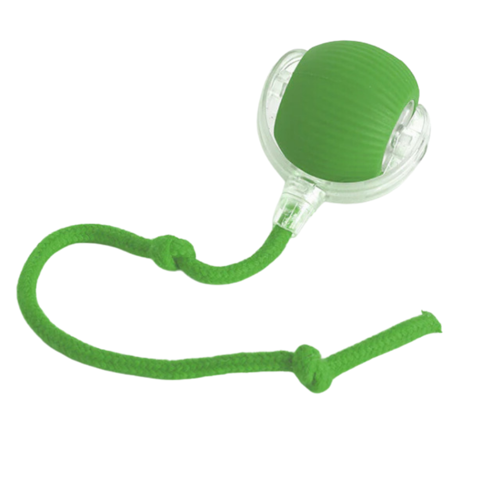 Smart Interaktiv katt-boll -Grön - Ozerty