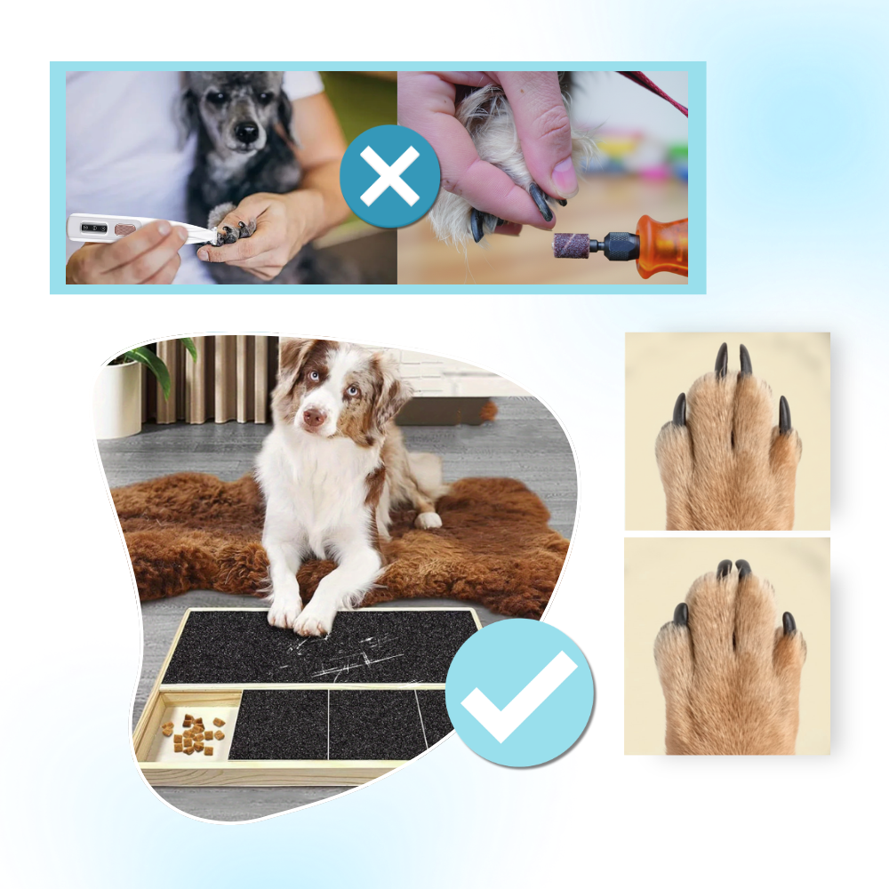 Stressfri klösbräda för hund med godisbelöning - Ozerty