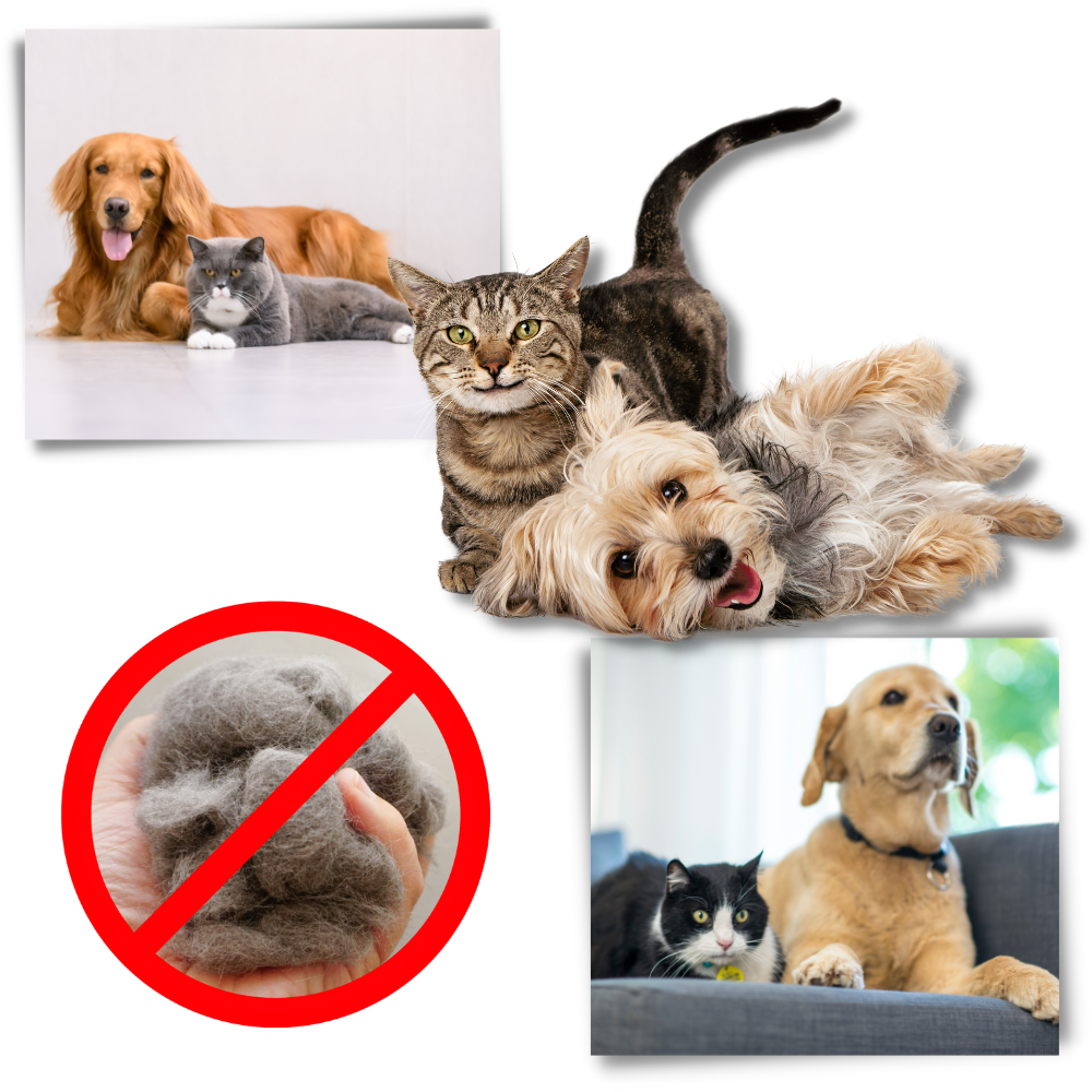 Ultimat underullskam för hund och katt - Ozerty