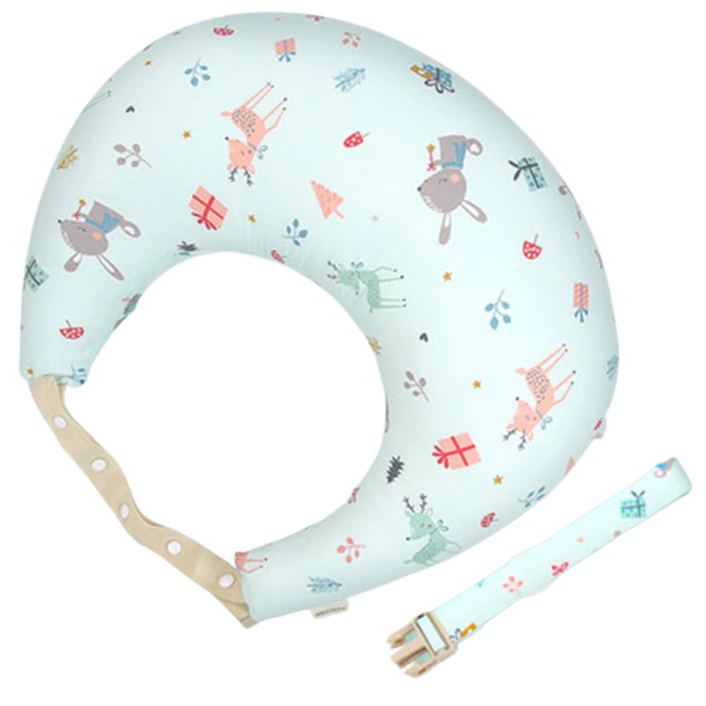 Baby pillow and holder