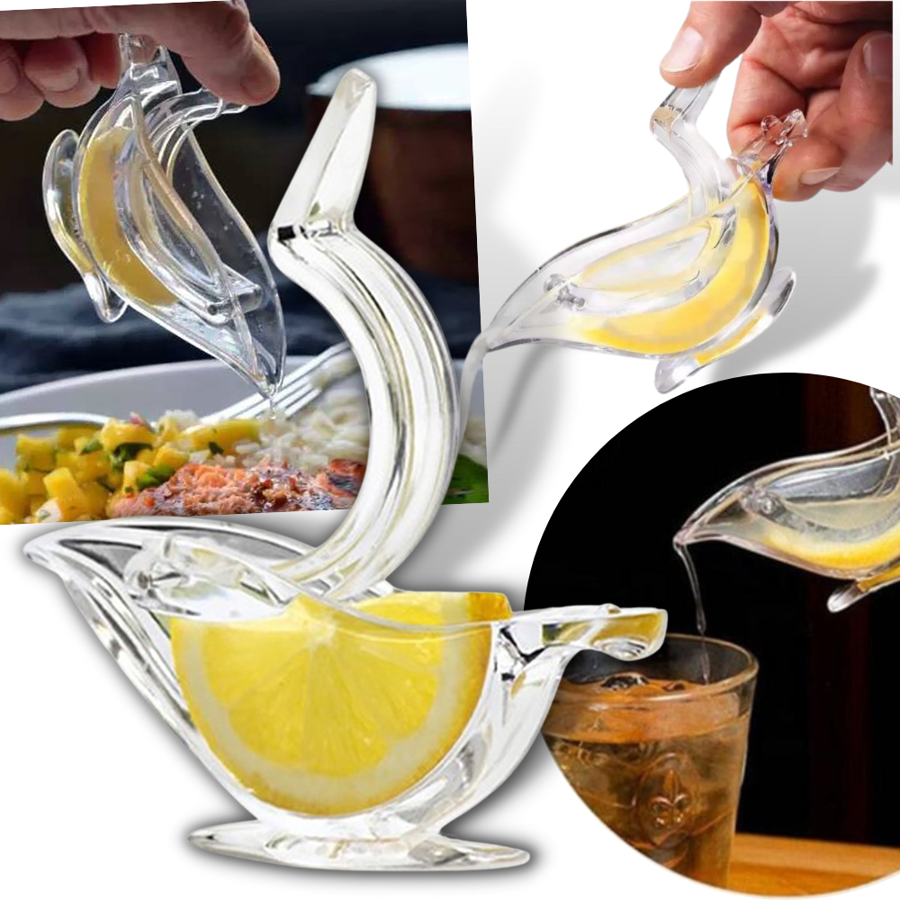 Juicepress för citron - Ozerty