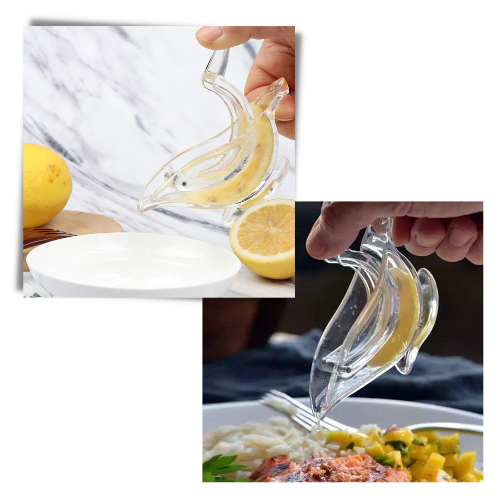 Juicepress för citron - Ozerty