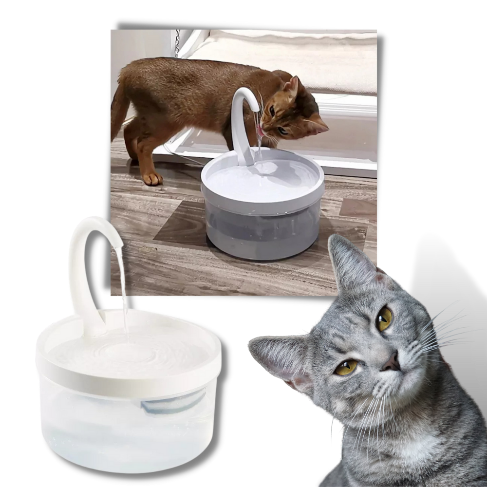 Automatisk dricksfontän för katt med LED-ljus - Ozerty