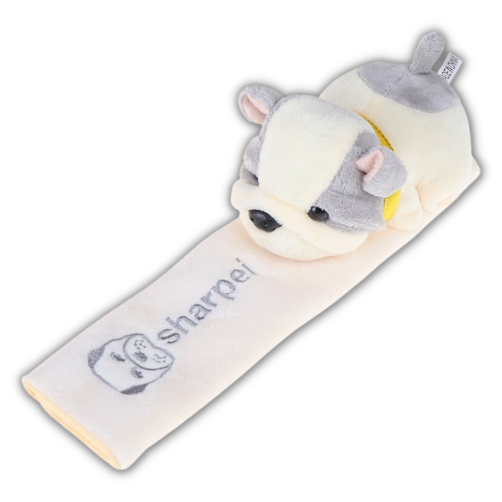 Seat belt protection