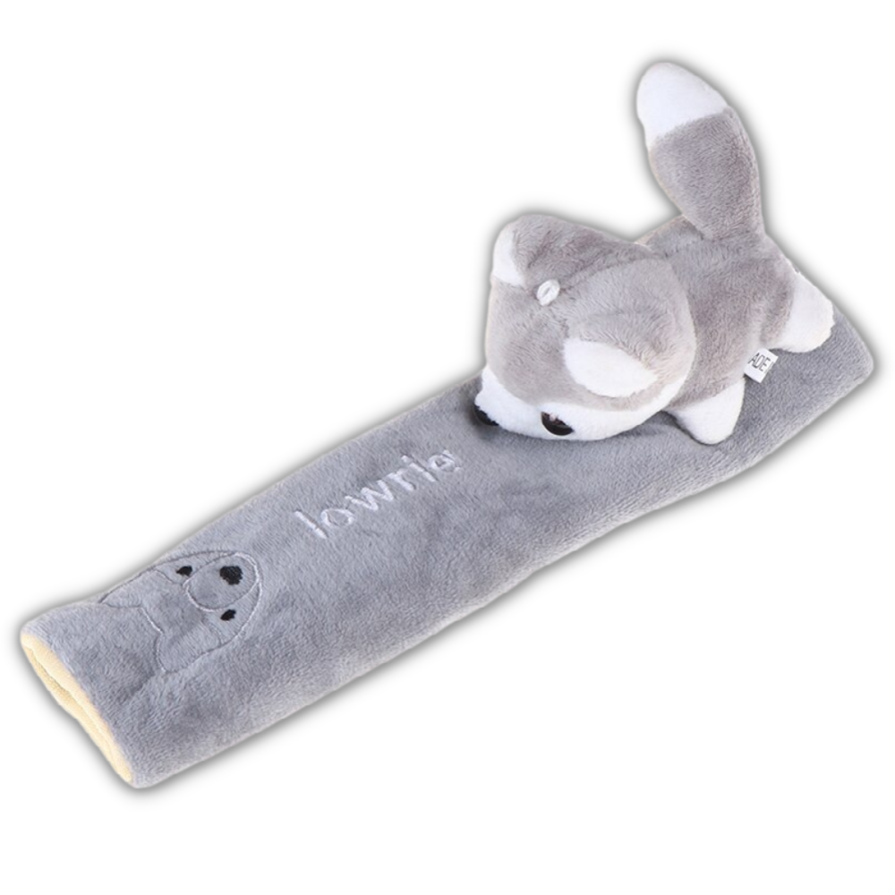 Seat belt protection