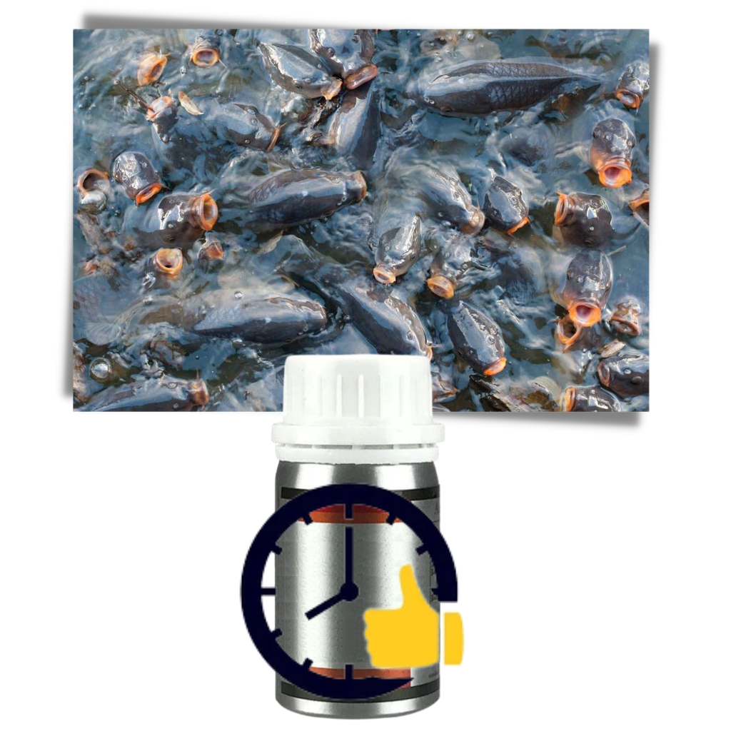 Effektivt fiskbete - Ozerty