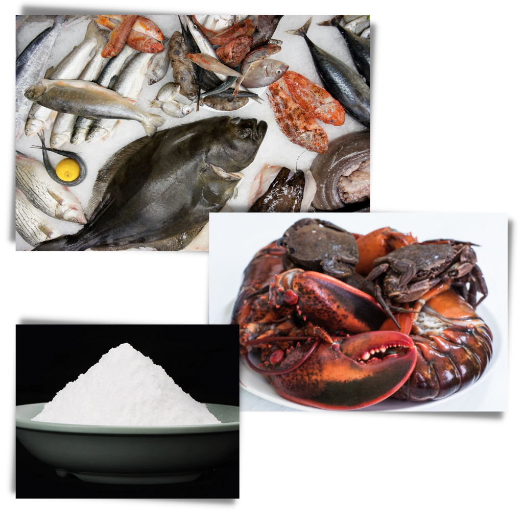Effektivt fiskbete - Ozerty