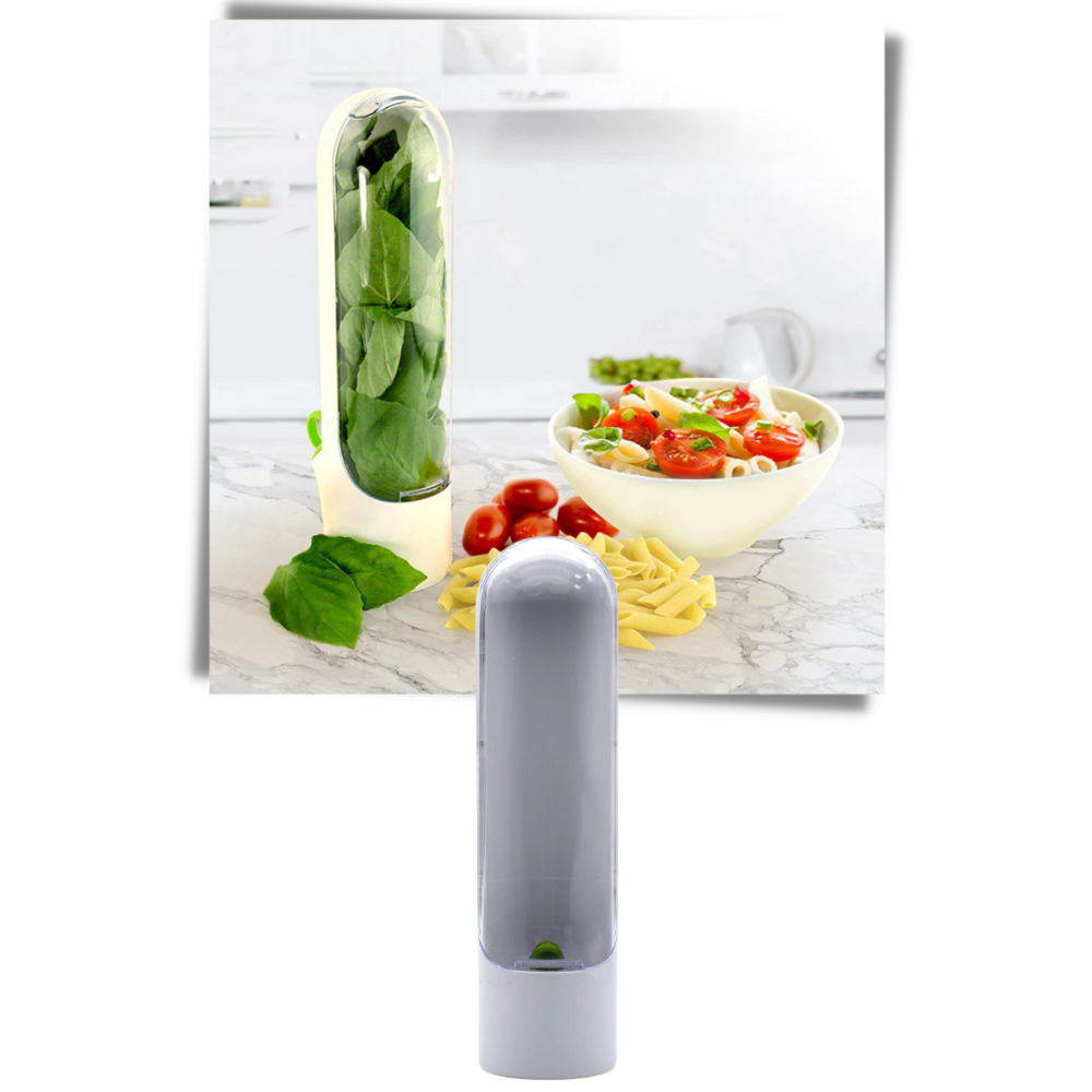 Behållare för konservering av färska örter - Ozerty