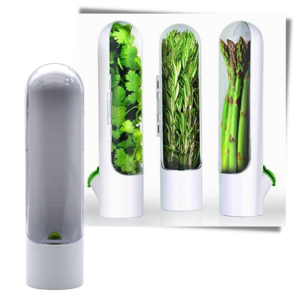 Behållare för konservering av färska örter - Ozerty