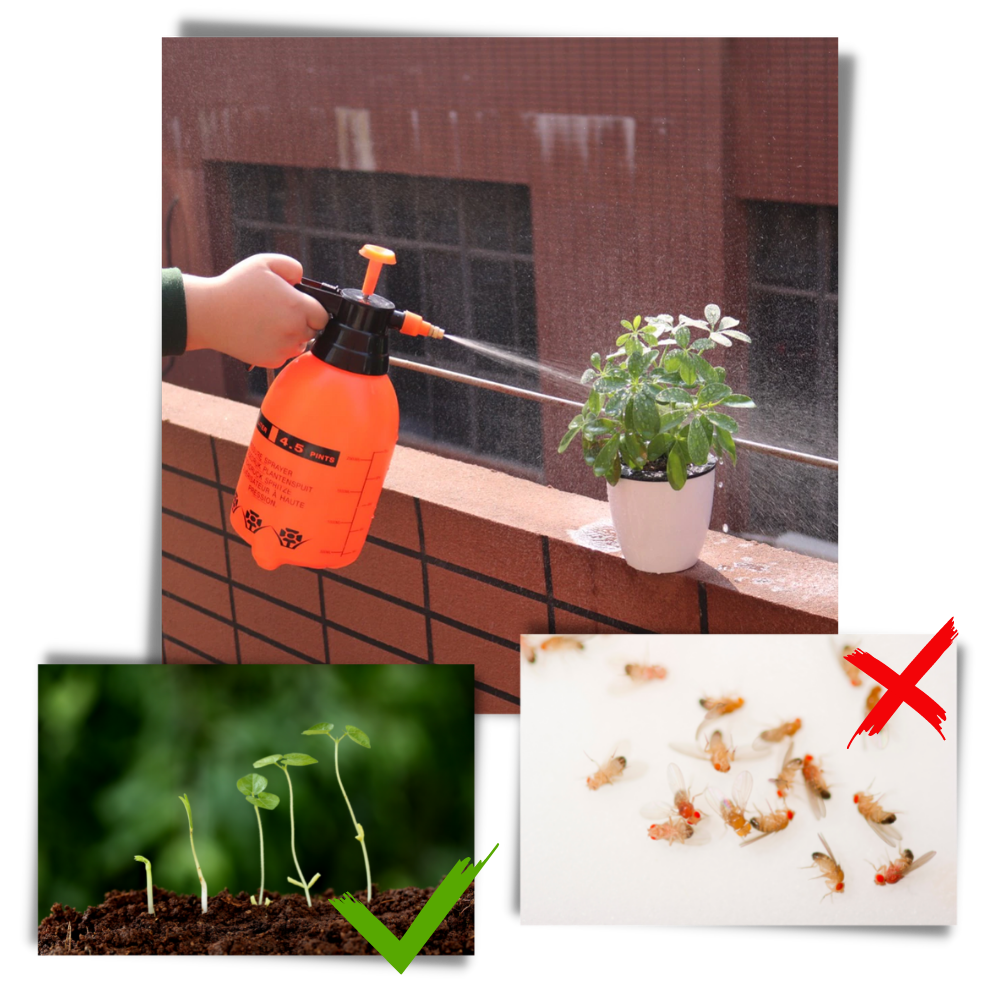 Trädgårdsspruta med pump - Ozerty