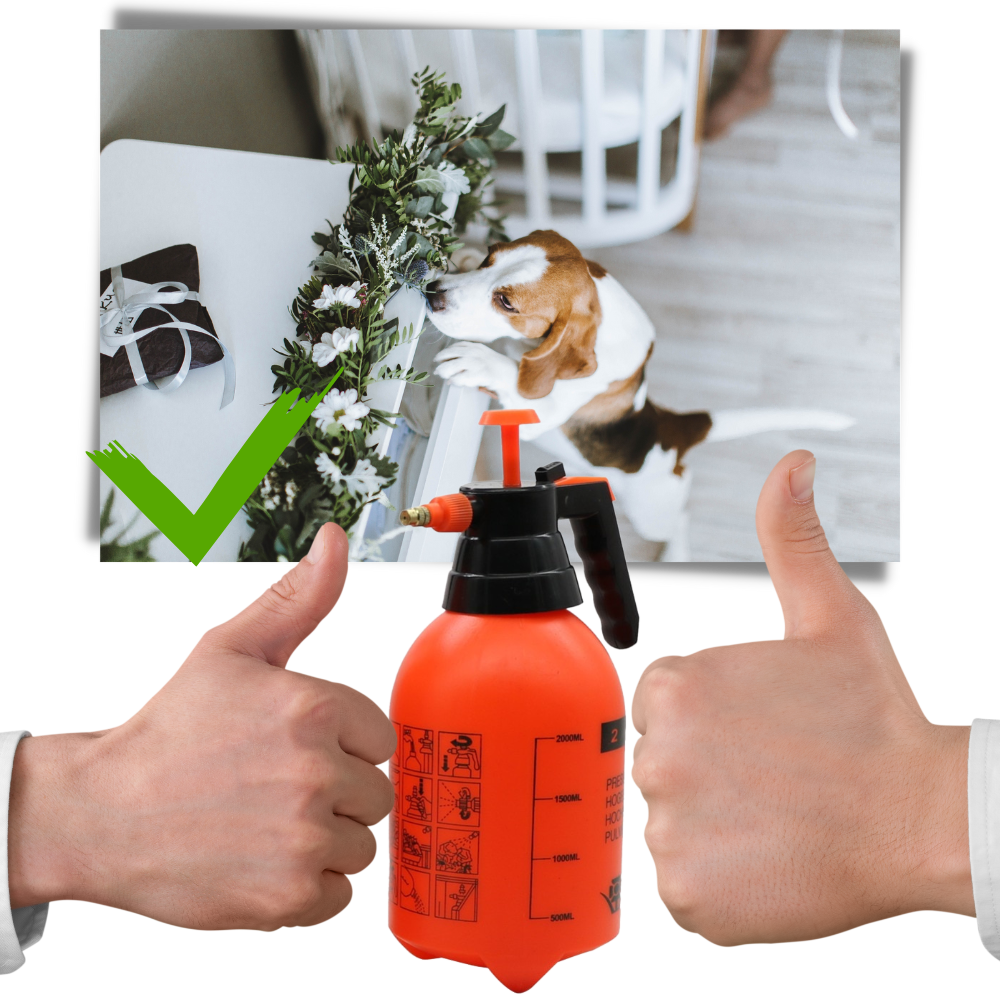 Trädgårdsspruta med pump - Ozerty