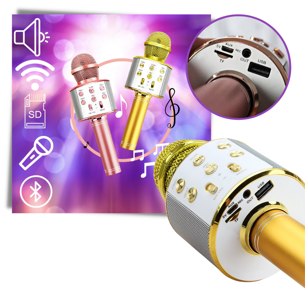 Trådlös Bluetooth-karaoke-mikrofon - Ozerty