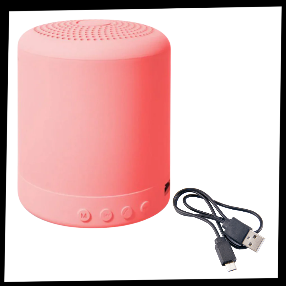 Mini Bluetooth-högtalare - Ozerty