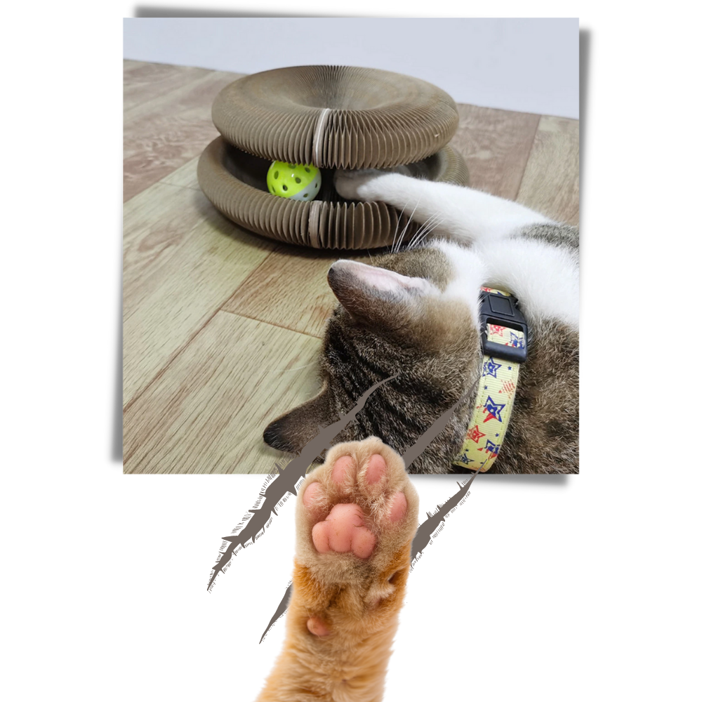 Klösbräda för katt - Ozerty