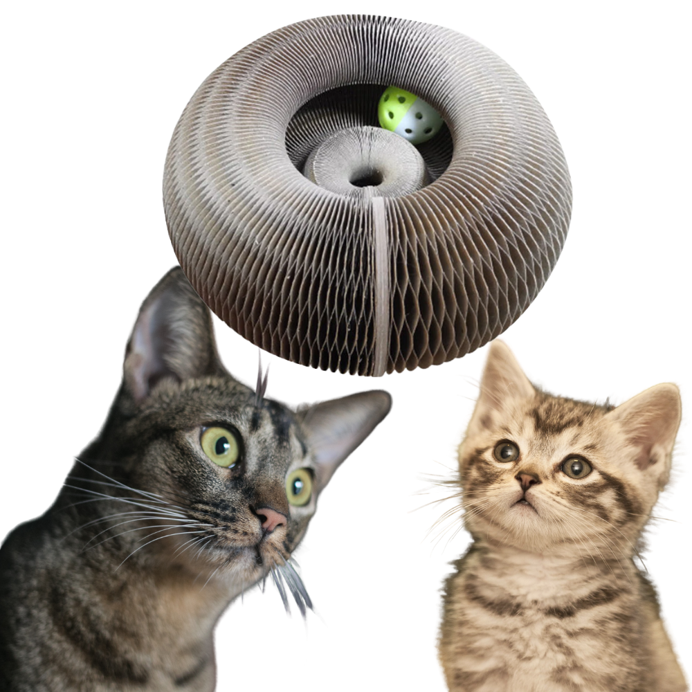 Klösbräda för katt - Ozerty