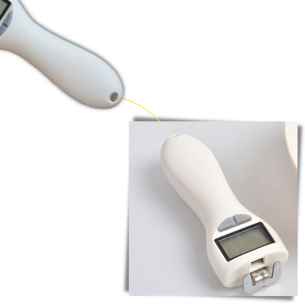 Sked med våg för husdjur - Ozerty