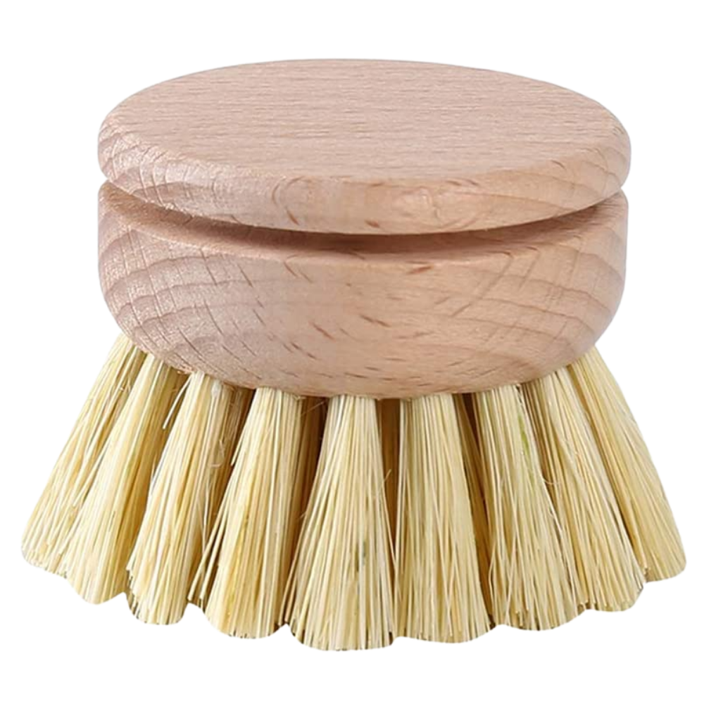 Eco-friendly scrub brush