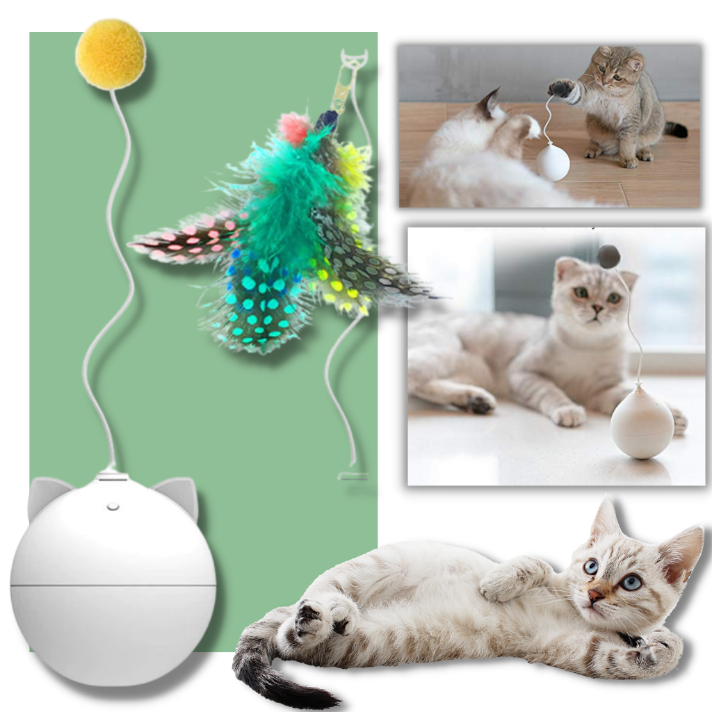 Interaktiv leksaksboll för katt - Ozerty