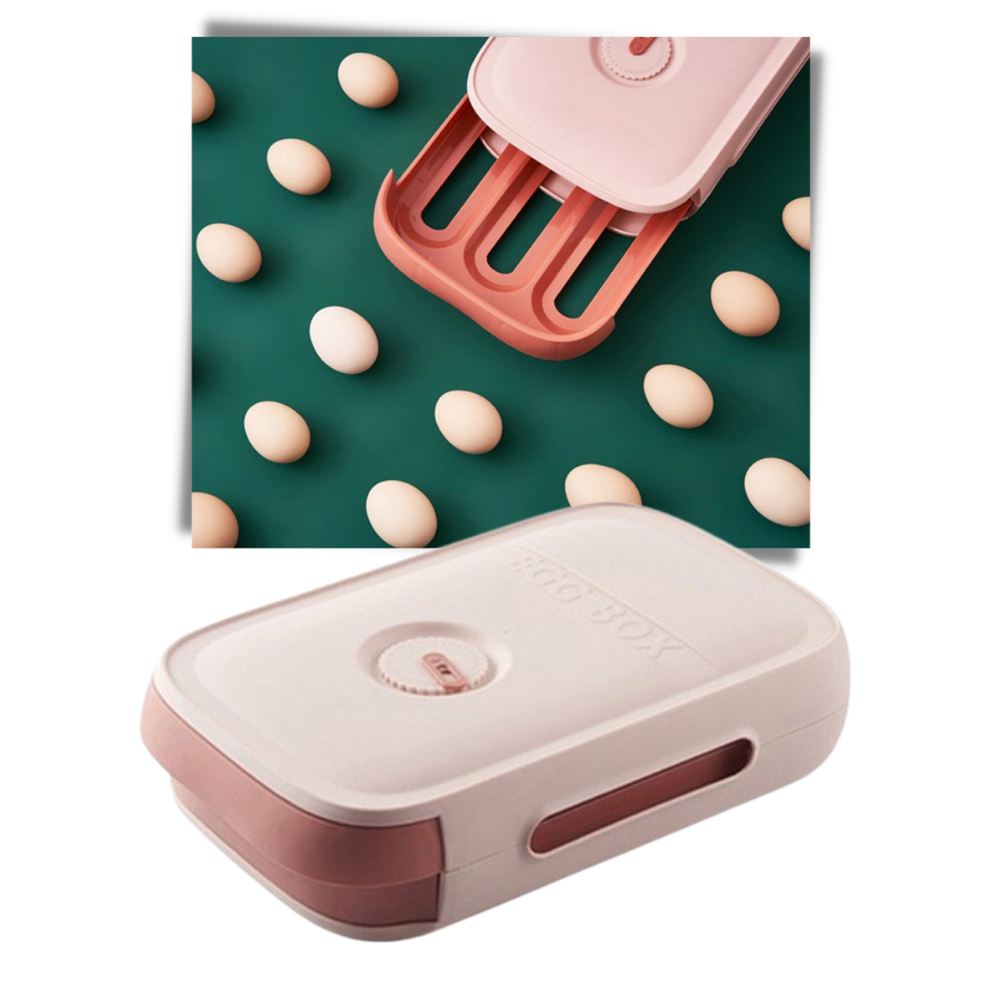 Förvaringslåda för ägg - Ozerty