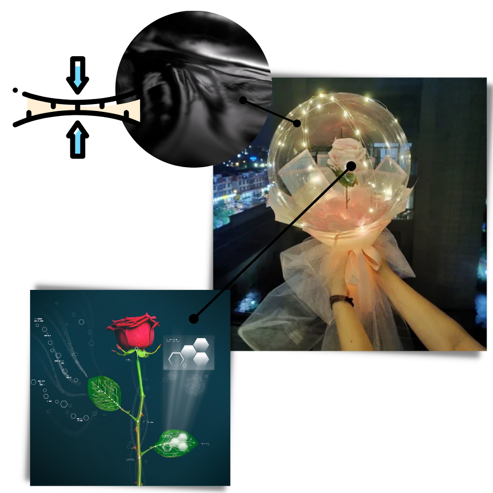LED-ballong med vacker ros - Ozerty