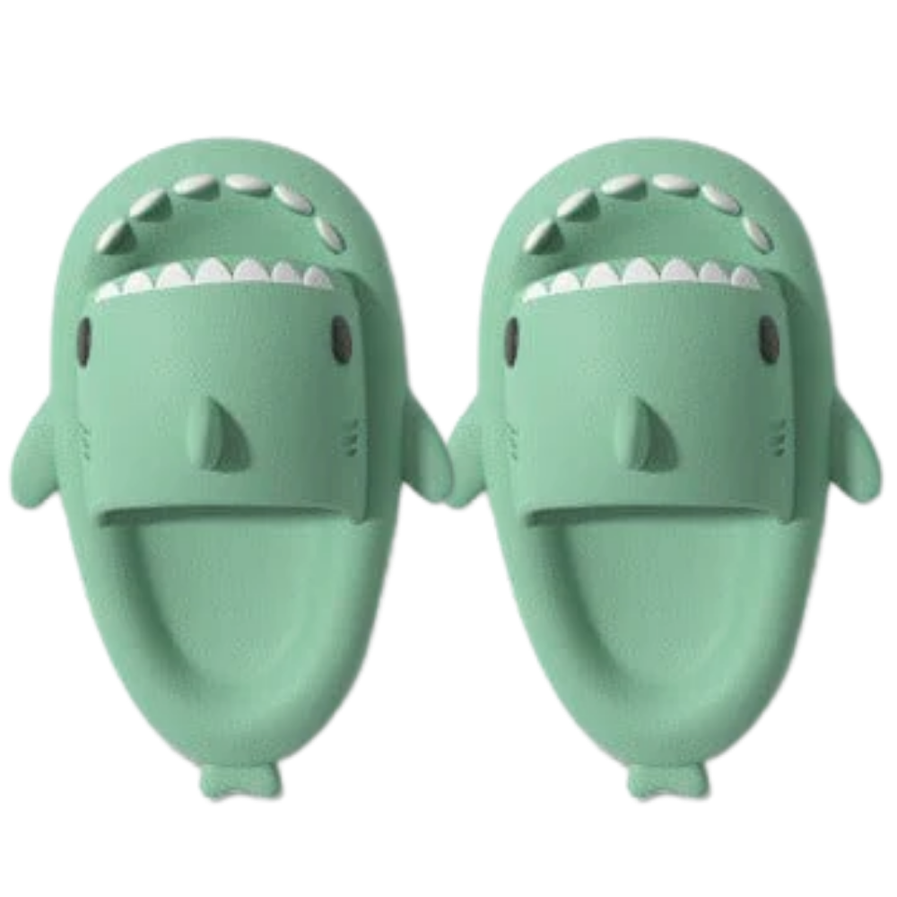Shark slippers