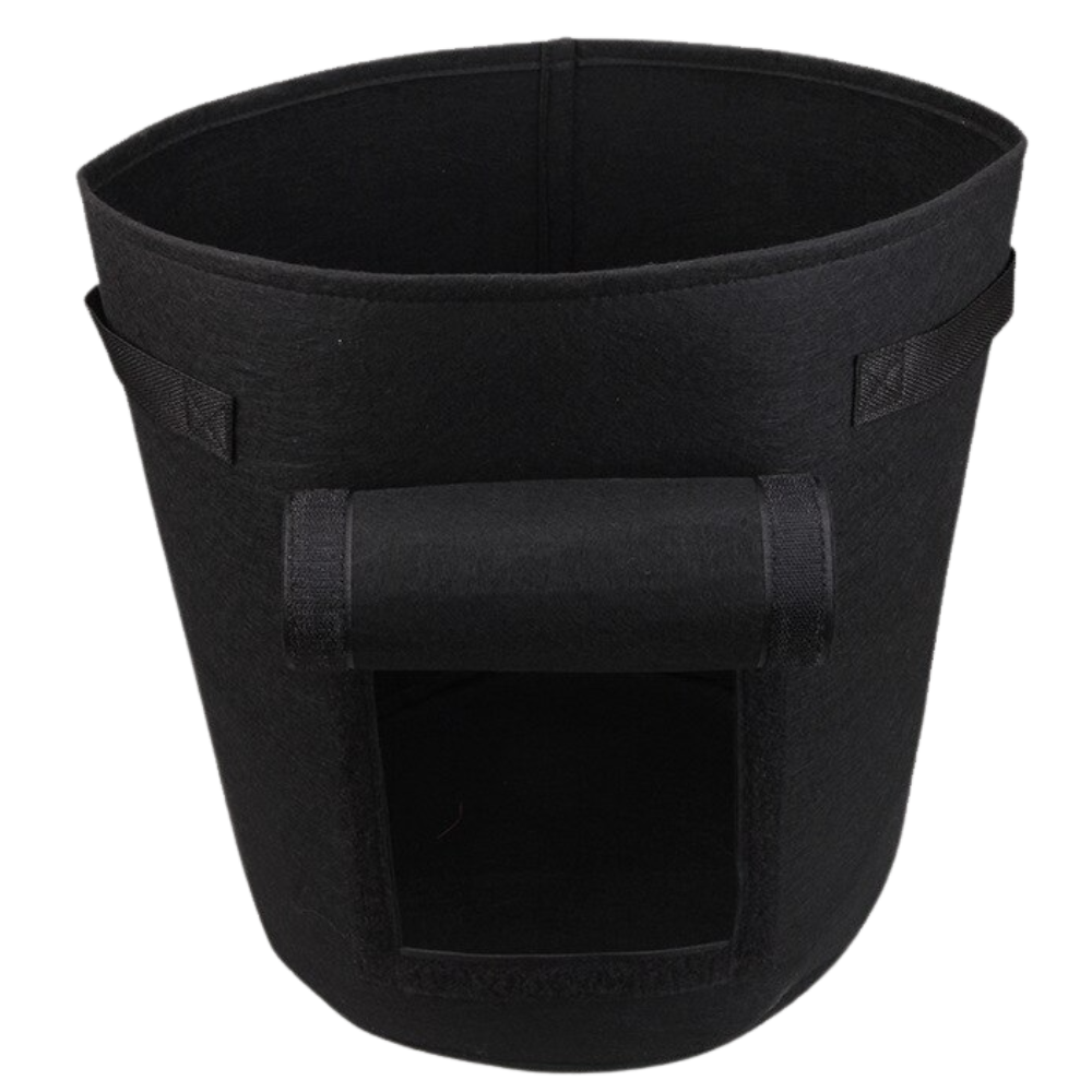 Bag for vegetable growing