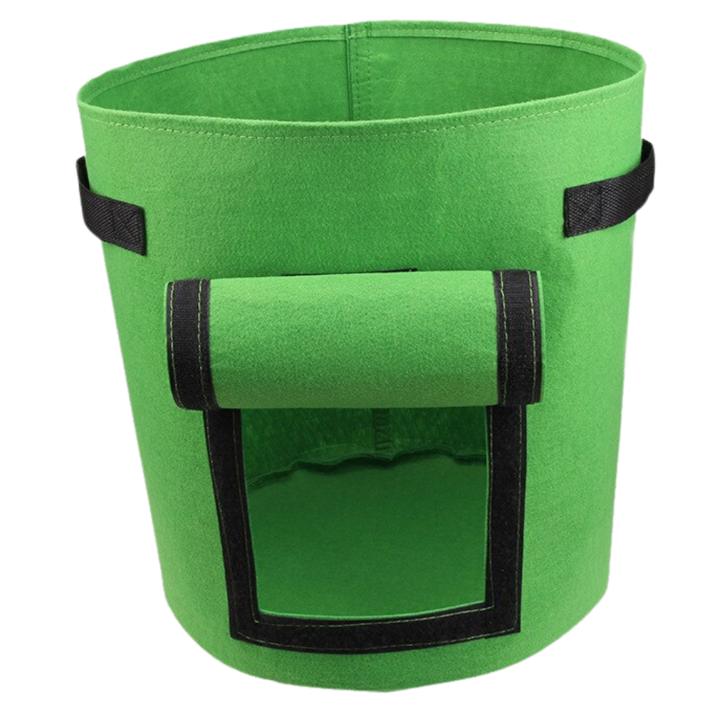 Bag for vegetable growing