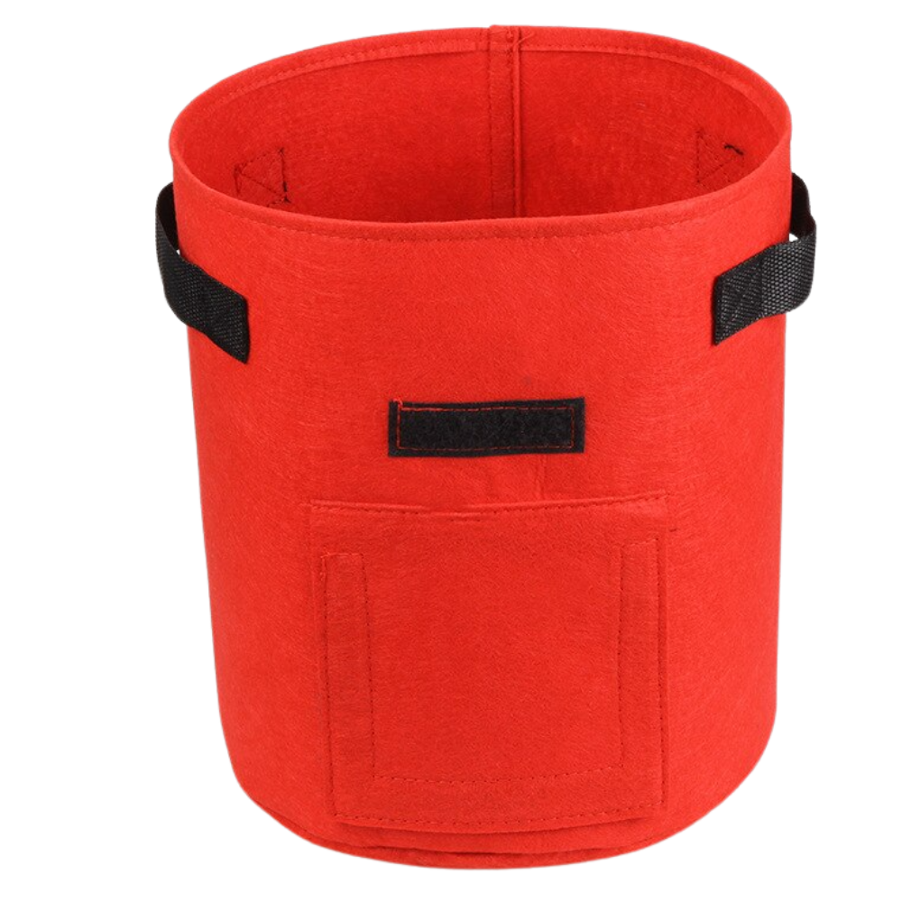 Bag for vegetable growing