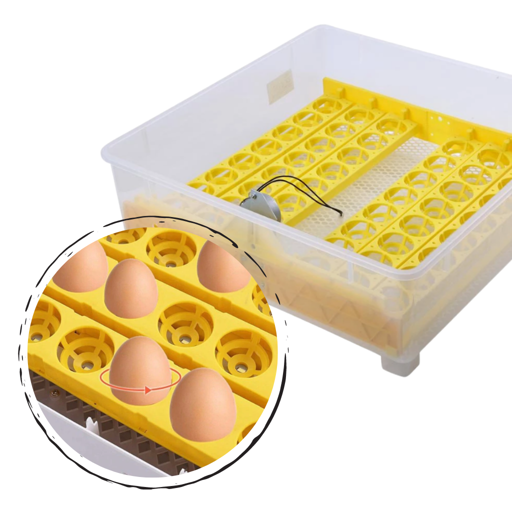 Automatisk äggkläckningsmaskin 48 ägg - Ozerty