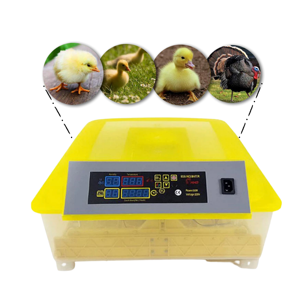 Automatisk äggkläckningsmaskin 48 ägg - Ozerty