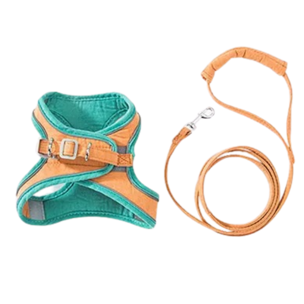 Harnesses and leashes for pets