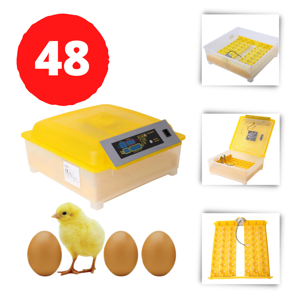 Automatic egg hatcher 48 eggs