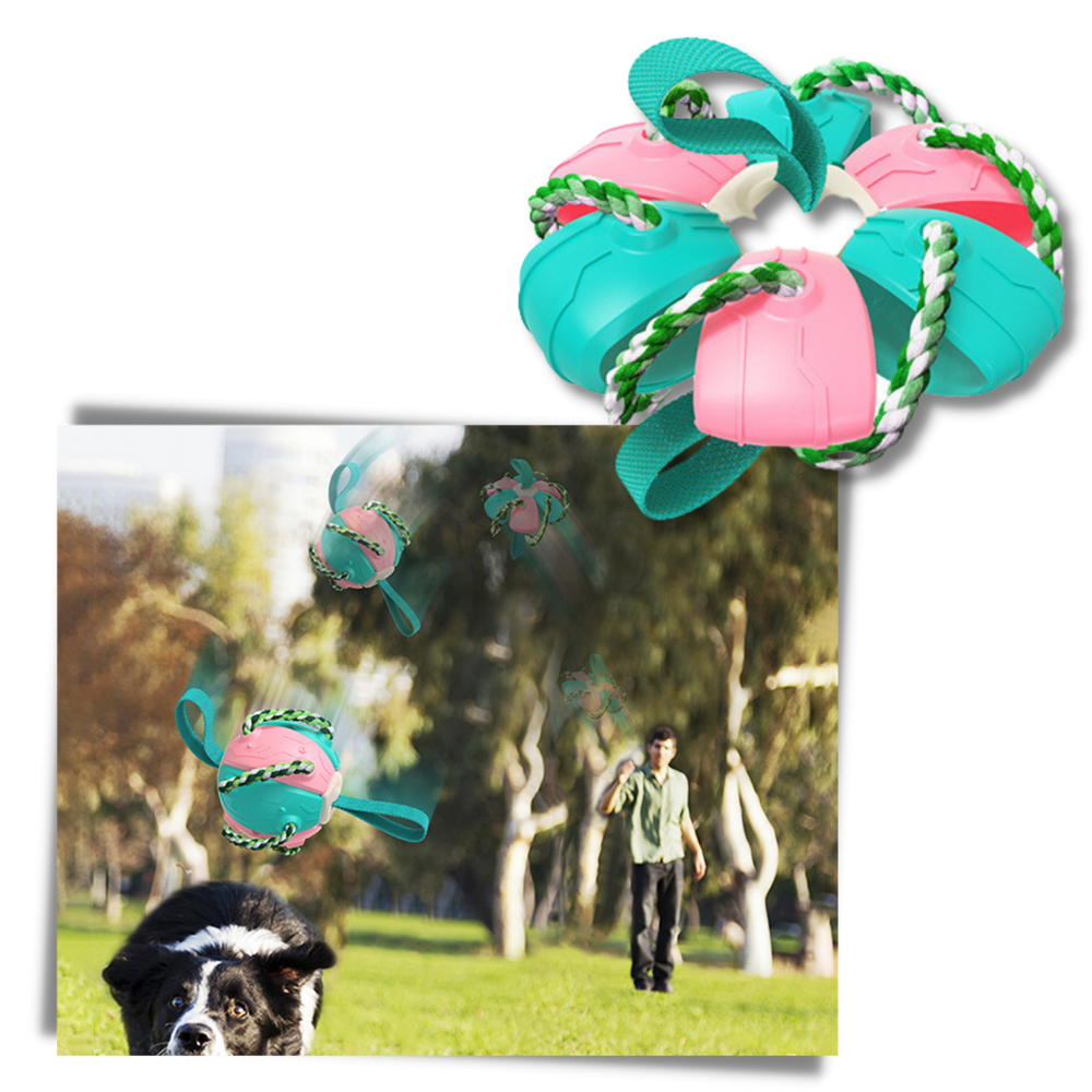 Frisbee boll hund leksak - Ozerty