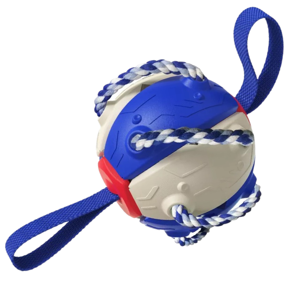 Frisbee boll hund leksak - Ozerty